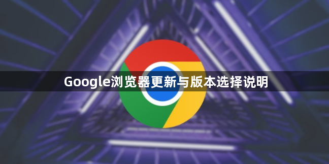 Google浏览器更新与版本选择说明1